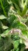 20140530_091038.jpg
