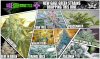 New-Strains-Gage-Green-Drop.jpg