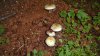 DSC02355.JPG