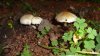 DSC02356.JPG