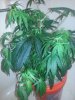 20140602_023211.jpg