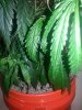 20140602_023223.jpg