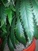 20140602_023234.jpg