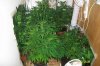 100_0554.jpg
