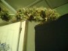 Picture0001.jpg