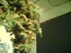 Picture0002.jpg