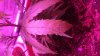 DSCF0364.JPG