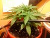 20140529_194619.jpg