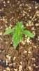20140604_230405.jpg 20140604_230405.jpg