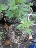20140610_152921.jpg