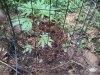 IMG_20140610_165502_455.jpg