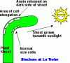 tropism.gif tropism.gif