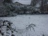 100_0822.jpg