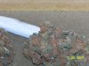 100_0713.jpg