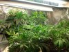 20140616_163509.jpg