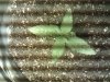 IMG_20140617_015622.jpg