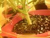 20140618_123040.jpg