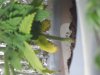 DSC05830.JPG