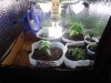 DSC05850.JPG