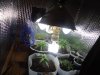 DSC05851.JPG