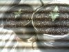 IMG_20140618_020331.jpg