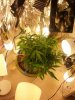 20140619_093747.jpg