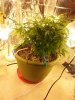 20140619_093820.jpg
