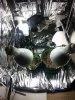 20140619_095447.jpg 20140619_095447.jpg