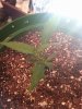 20140619_095721.jpg 20140619_095721.jpg
