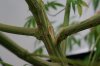 DSC04118.JPG