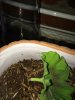 IMG_0191.jpg