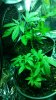 20140621_142949.jpg