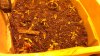 IMAG0276.jpg