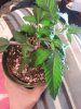 20140623_081450.jpg