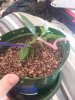 20140623_081636.jpg