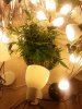 20140623_081947.jpg