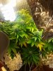 20140624_075831.jpg 20140624_075831.jpg