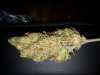 Sage n Sour 004.jpg