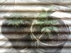 IMG_19800106_002308.jpg