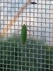 20140624_193712.jpg