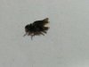 20140624_232940.jpg