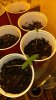 20140625_114515.jpg