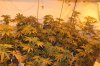 PTW X OG and OBOG X OG 001.JPG PTW X OG and OBOG X OG 001.JPG