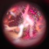 image_5_.jpeg