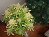 DSC00669.JPG
