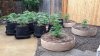 20140625_152316.jpg 20140625_152316.jpg