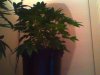 TPhoto_00005.jpg