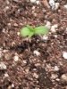20140630_082503.jpg