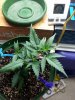 20140630_081209.jpg