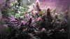 Day37ofFlowerHydroGro2189x 017.JPG